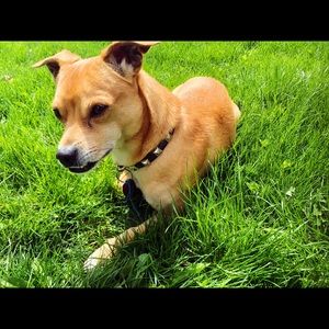 Meet your Posher, Brian